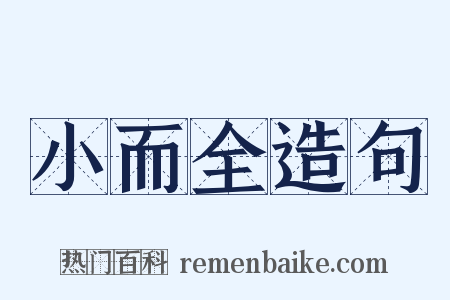 小而全造句是什么意思的图片